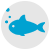 bt_filetOfish-min