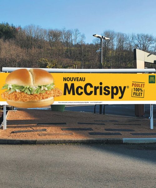 BP2DCRISP001